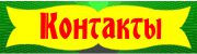 Контакты