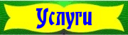 Услуги